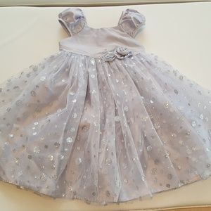 Cherokee Silver Satin Tulle Fancy Dress